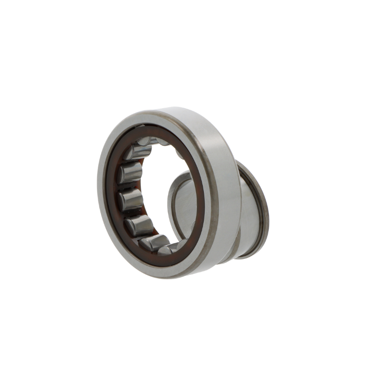 Roulements à rouleaux cylindriques NJ2310  ECP
