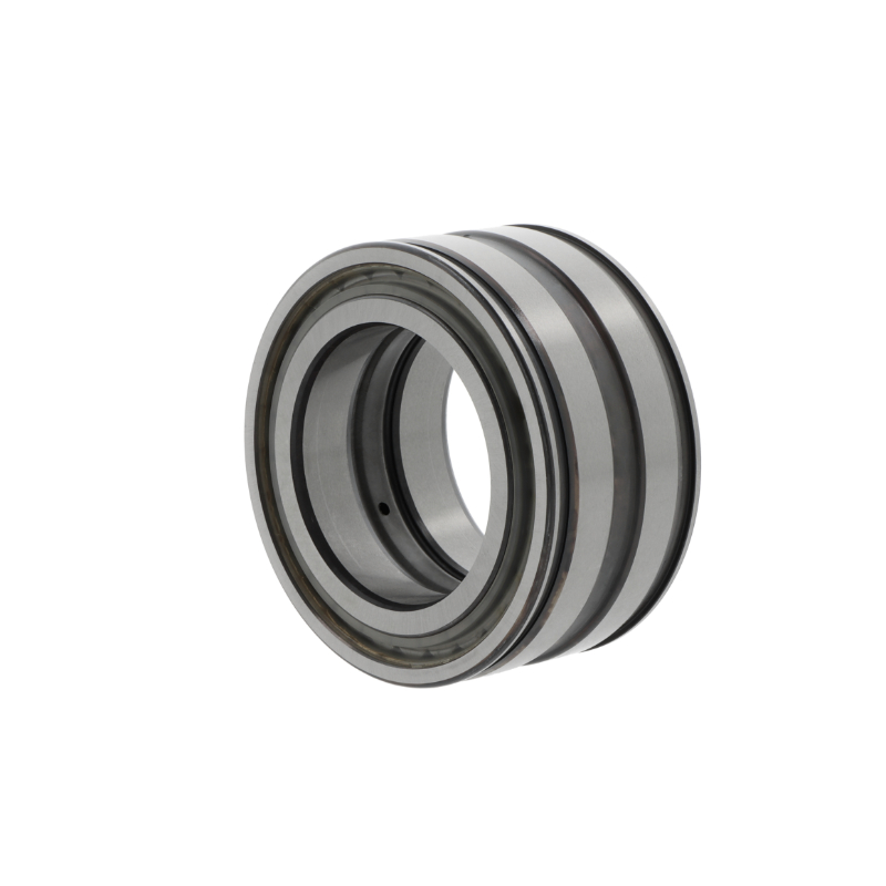 Roulements à rouleaux cylindriques SL045007 -PP-C3