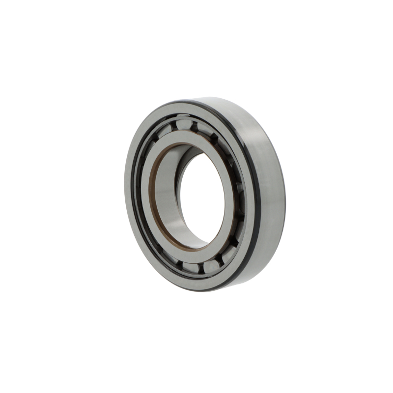 Roulements à rouleaux cylindriques NUP317  W