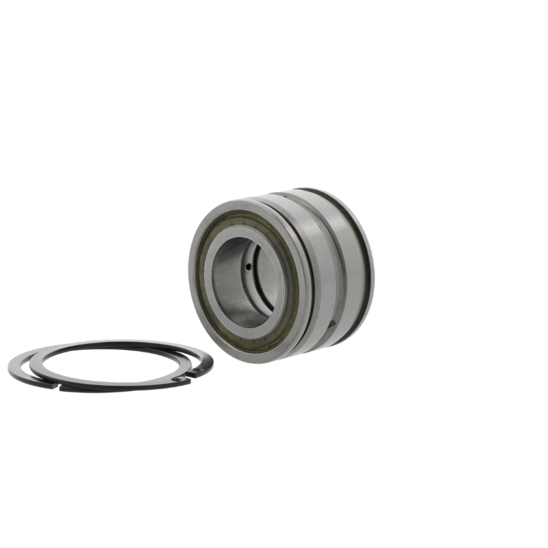 Roulements à rouleaux cylindriques SL04220 -D-PP-2NR