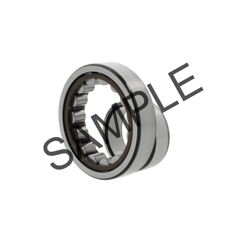 Roulements à rouleaux cylindriques NJ221 -E-MA6-C4